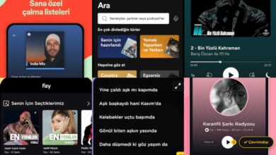 Android Muzik Indirme Internetsiz Dinleme
