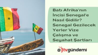 Bati Afrikanin Incisi Senegale Nasil Gidilir Senegal Gezilecek Yerler Vize