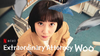 Extraordinary Attorney Woo Dizi
