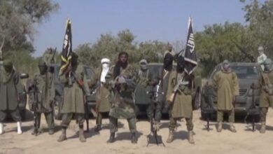 Nijerya'da 29 Boko Haram üyesi öldürüldü