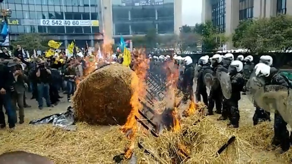 Hollanda da çiftçilerin eylemi sürüyor: Polise gübre ve saman sıktılar #4