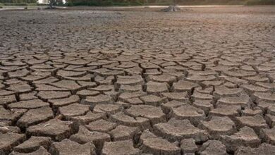 Avrupa'da yaşanan kuraklık 500 yılın en kötüsü olabilir