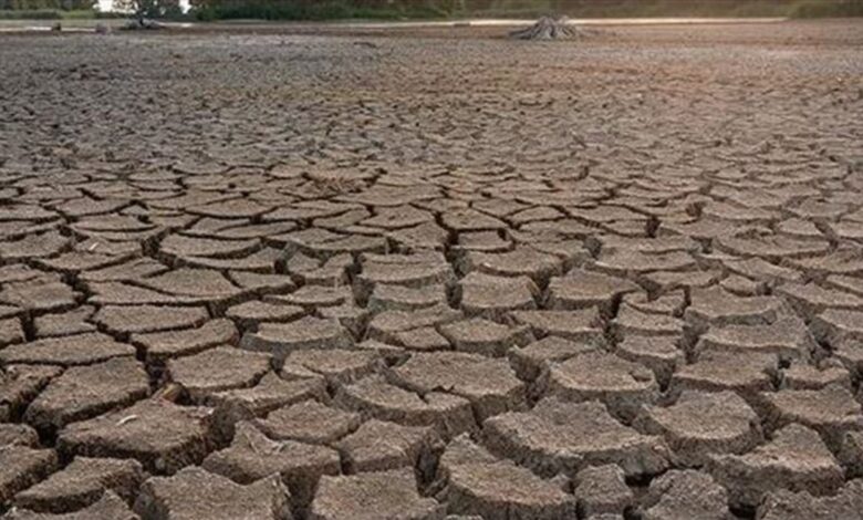 Avrupa'da yaşanan kuraklık 500 yılın en kötüsü olabilir