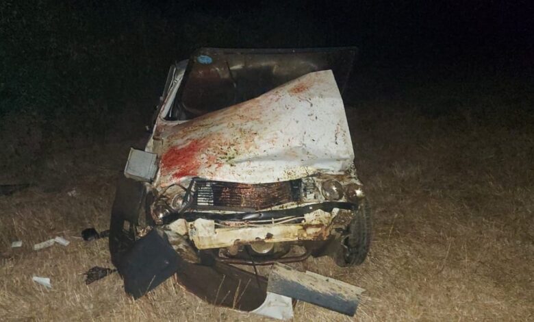 Çanakkale'de araba sürüye çarptı:13 koyun telef oldu