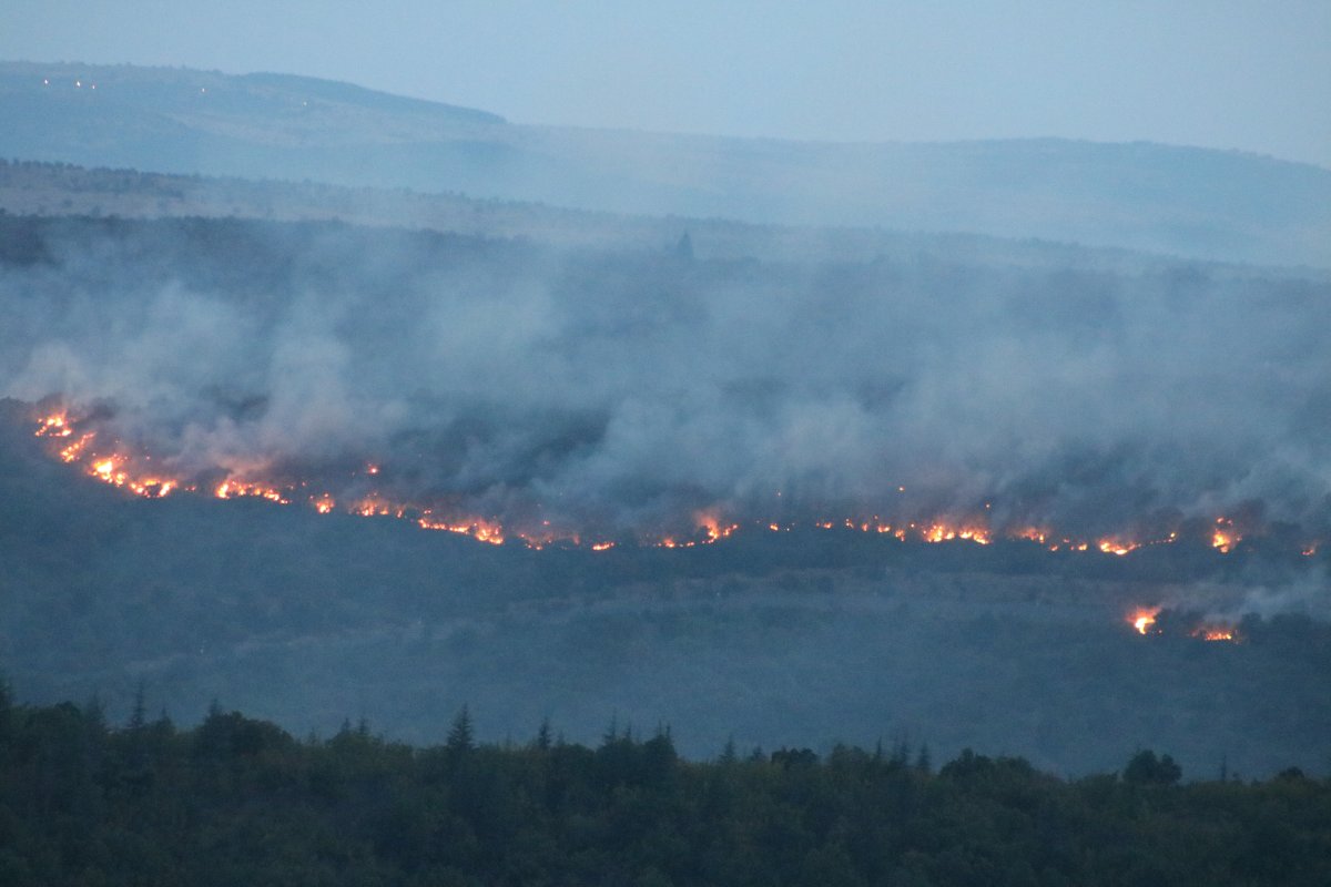 Bulgaristan da orman yangını: Edirne nin köylerine kadar dayandı #2