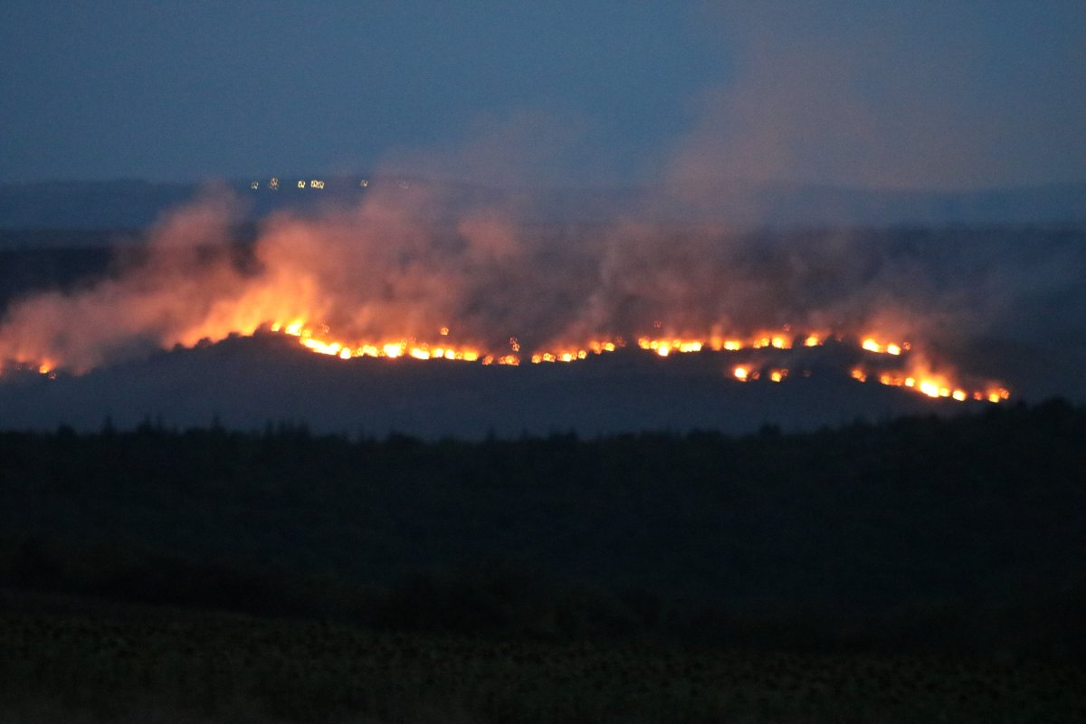 Bulgaristan da orman yangını: Edirne nin köylerine kadar dayandı #3
