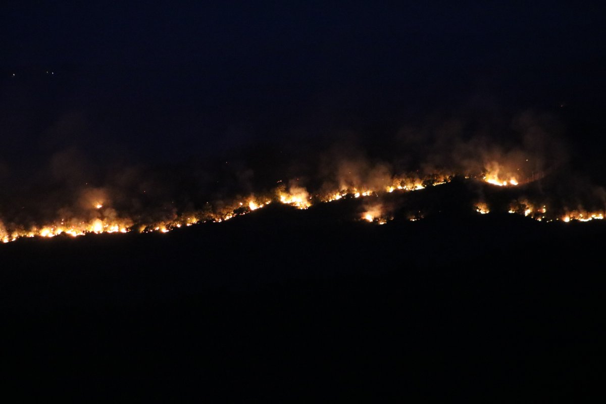 Bulgaristan da orman yangını: Edirne nin köylerine kadar dayandı #5