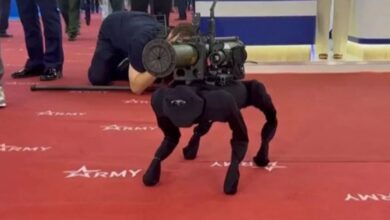 Rusya'nın roketatar taşıyan robot köpeği: M-81