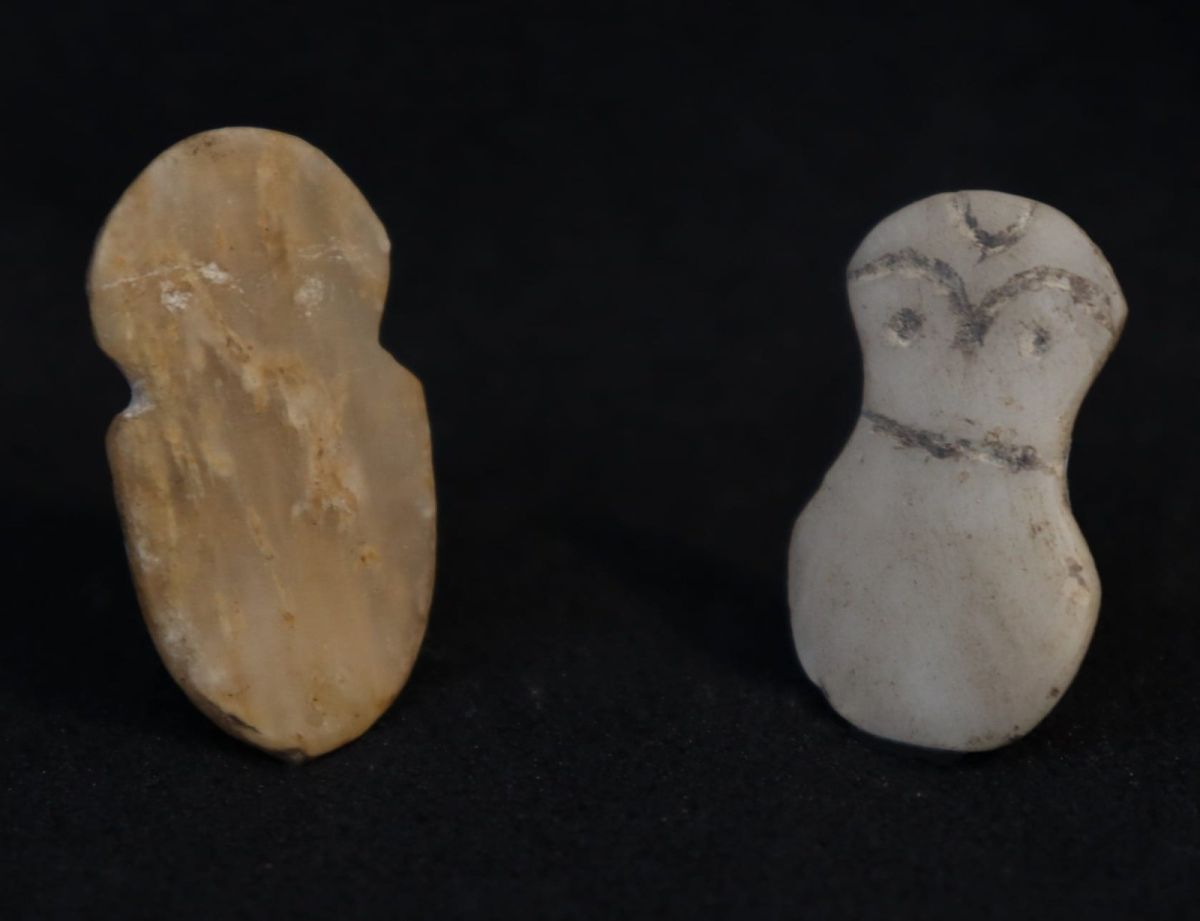 Kütahya Tavşanlı Höyük’te 4 bin 500 yıllık fındık kalıntıları bulundu #4