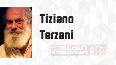Atlıkarıncada Bir Tur Daha - Tiziano Terzani Kitap özeti, konusu ve incelemesi