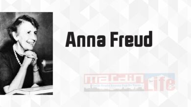 Çocuklukta Normallik ve Patoloji - Anna Freud Kitap özeti, konusu ve incelemesi