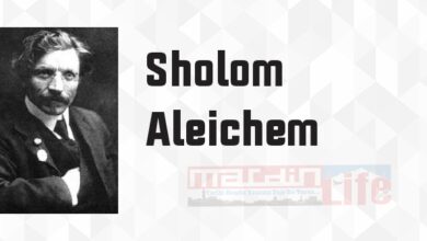 Damdaki Kemancı - Sholom Aleichem Kitap özeti, konusu ve incelemesi