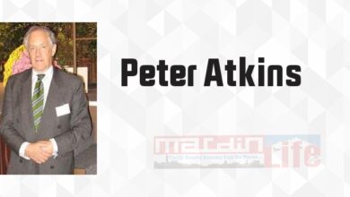 Evreni Yöneten Dört Yasa - Peter Atkins Kitap özeti, konusu ve incelemesi