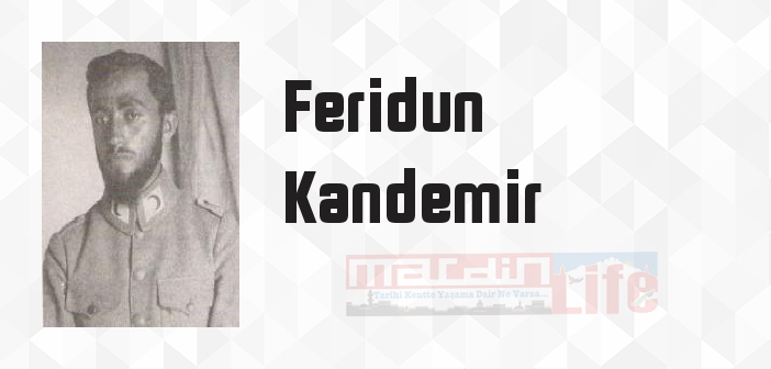 Fahreddin Paşa'nın Medine Müdafaası - Feridun Kandemir Kitap özeti, konusu ve incelemesi