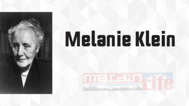Haset ve Şükran - Melanie Klein Kitap özeti, konusu ve incelemesi