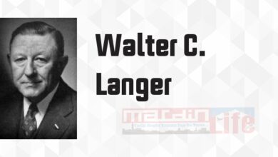Hitler'in Psikopatolojisi - Walter C. Langer Kitap özeti, konusu ve incelemesi