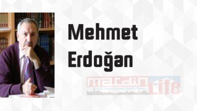 İslam Hukukunda Ahkamın Değişmesi - Mehmet Erdoğan Kitap özeti, konusu ve incelemesi