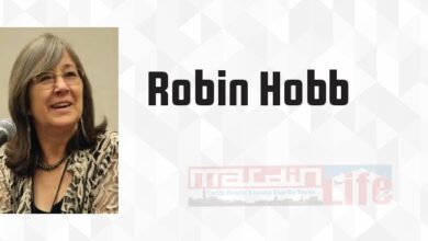 Kraliyet Suikastçısı - Robin Hobb Kitap özeti, konusu ve incelemesi
