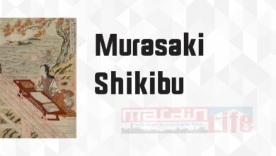 Murasaki Shikibu'nun Günlüğü - Murasaki Shikibu Kitap özeti, konusu ve incelemesi