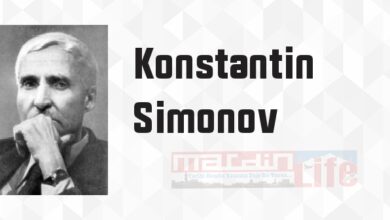 Savaşsız Yirmi Gün - Konstantin Simonov Kitap özeti, konusu ve incelemesi
