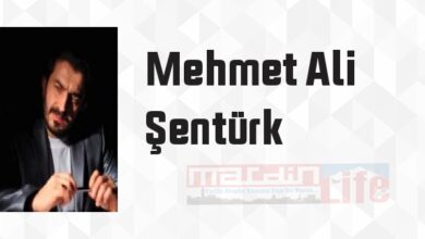 Şeyh Bedreddin - Mehmet Ali Şentürk Kitap özeti, konusu ve incelemesi