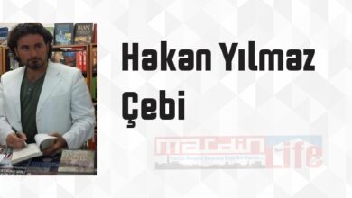 Türkiye'de Petrol Kime Saklanıyor - Hakan Yılmaz Çebi Kitap özeti, konusu ve incelemesi