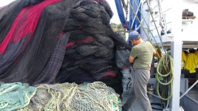 Balıkçılar av yasağının kalkmasıyla birlikte "Vira Bismillah" dedi