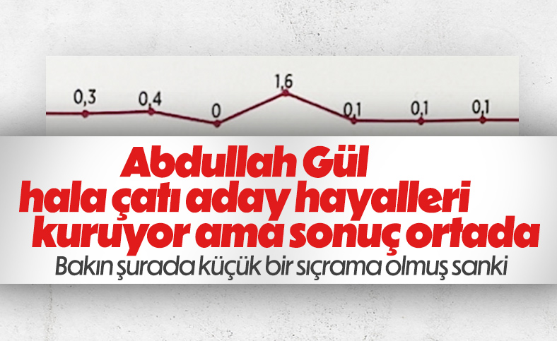 Temel Karamollaoğlu: Abdullah Gül ün adaylığı müsbet olur #2