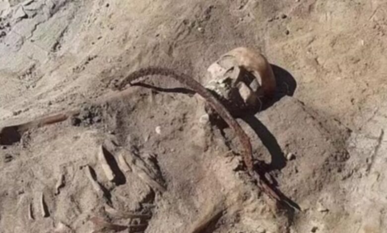 Polonya'da "kadın vampir"e ait olduğu düşünülen iskelet bulundu