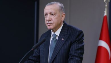 Cumhurbaşkanı Erdoğan'dan Yunan tacizi açıklaması