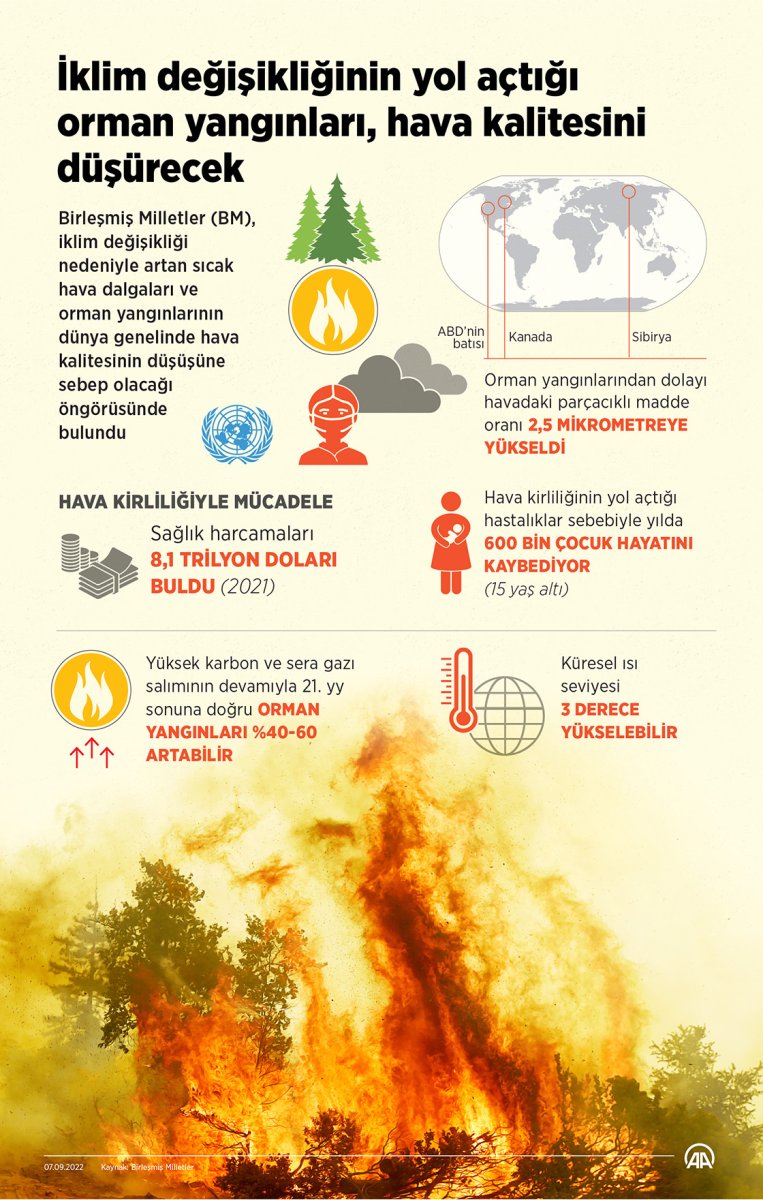 İklim değişikliğinin sebep olduğu orman yangınları hava kalitesini etkiliyor #2