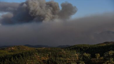 İklim değişikliğinin sebep olduğu orman yangınları hava kalitesini etkiliyor