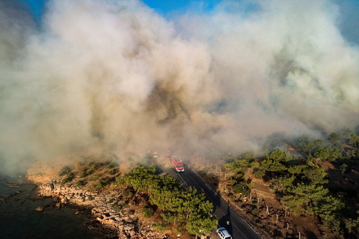 Mersin de çıkan orman yangınına müdahaleler devam ediyor #1