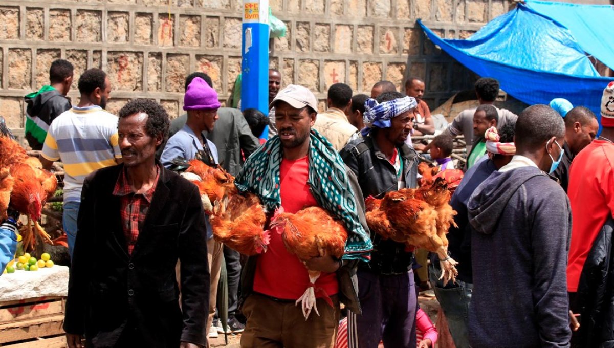Etiyopya 2015 yılına girişlerini kutluyor #2