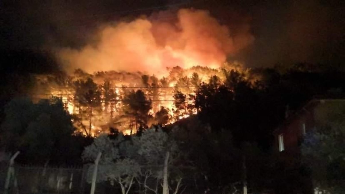 Muğla nın Ula ilçesinde orman yangını çıktı #1