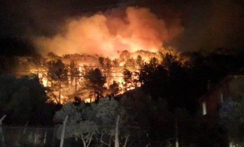 Muğla'nın Ula ilçesinde orman yangını çıktı