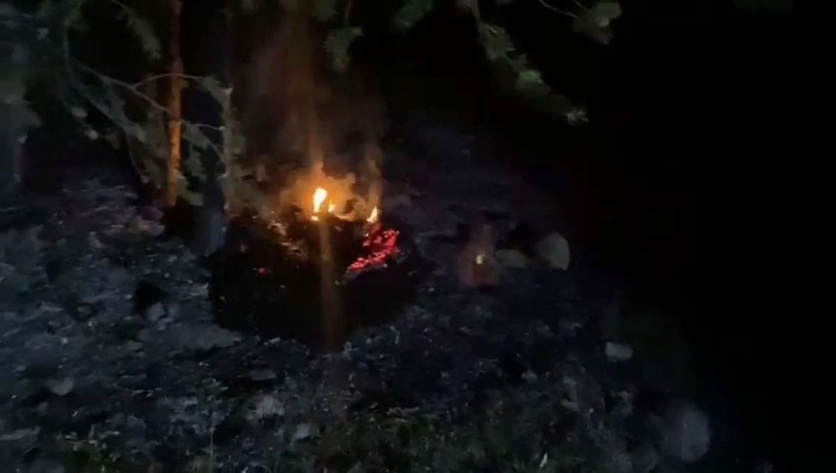 Bolu da ormanda lastik yakan 2 kişi, kovalamaca sonucu yakalandı #1