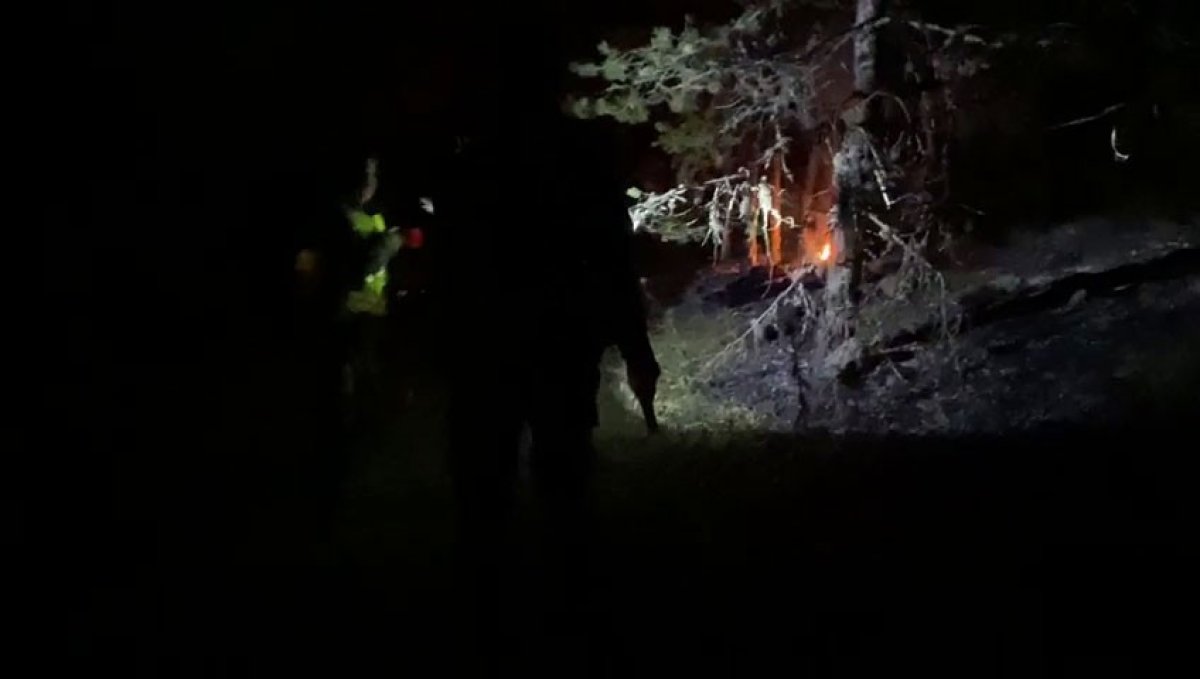 Bolu da ormanda lastik yakan 2 kişi, kovalamaca sonucu yakalandı #2
