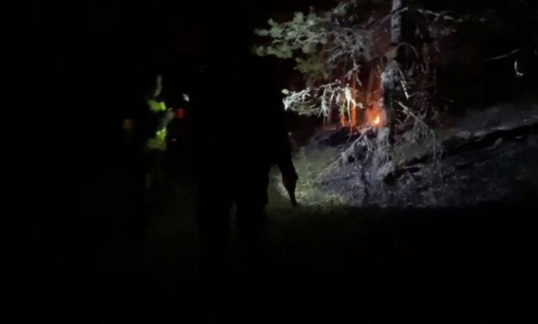 Bolu'da ormanda lastik yakan 2 kişi, kovalamaca sonucu yakalandı
