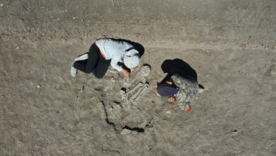 Kahramanmaraş'ta 7 bin 600 yıllık kadın iskeleti bulundu