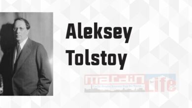 Aelita - Aleksey Tolstoy Kitap özeti, konusu ve incelemesi