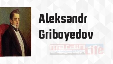 Akıldan Bela - Aleksandr Griboyedov Kitap özeti, konusu ve incelemesi