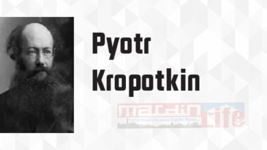 Anarşizm - Pyotr Kropotkin Kitap özeti, konusu ve incelemesi