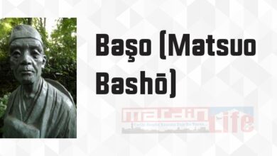Basho's Haiku: Selected Poems of Matsuo Basho - Başo (Matsuo Bashō) Kitap özeti, konusu ve incelemesi