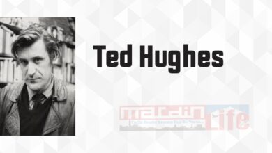 Doğumgünü Mektupları - Ted Hughes Kitap özeti, konusu ve incelemesi