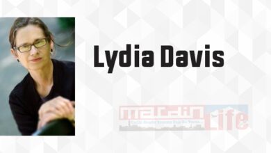 Hikâyenin Sonu - Lydia Davis Kitap özeti, konusu ve incelemesi