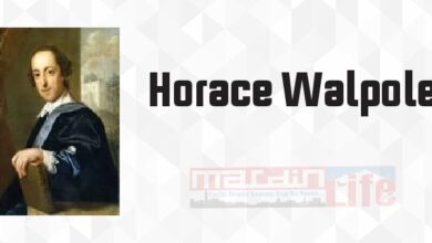 Kayıp Varis - Horace Walpole Kitap özeti, konusu ve incelemesi