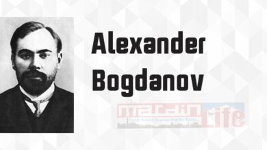 Kızıl Yıldızı 2 - Mühendis Menni - Alexander Bogdanov Kitap özeti, konusu ve incelemesi