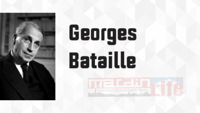 Lanetli Pay - Georges Bataille Kitap özeti, konusu ve incelemesi