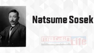 On Gece Düşleri - Natsume Soseki Kitap özeti, konusu ve incelemesi